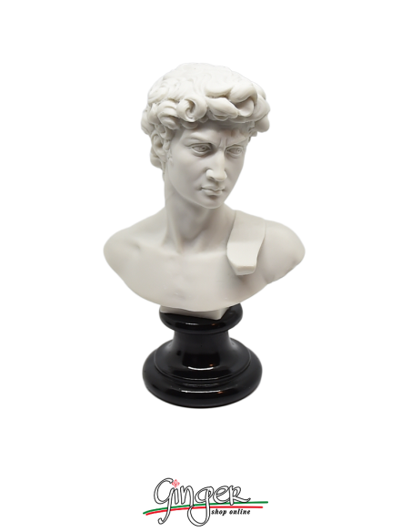 David by Michelangelo - bust 5.9 in. (15 cm) three versions