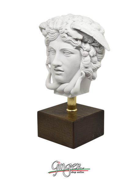 Medusa - head with wooden base - 29 cm