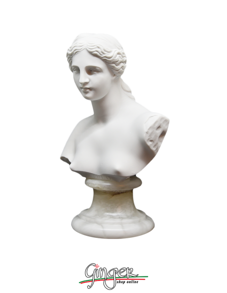 Venus de Milo (Aphrodite) - 5.9 in. (15 cm)  - Bust with alabaster base