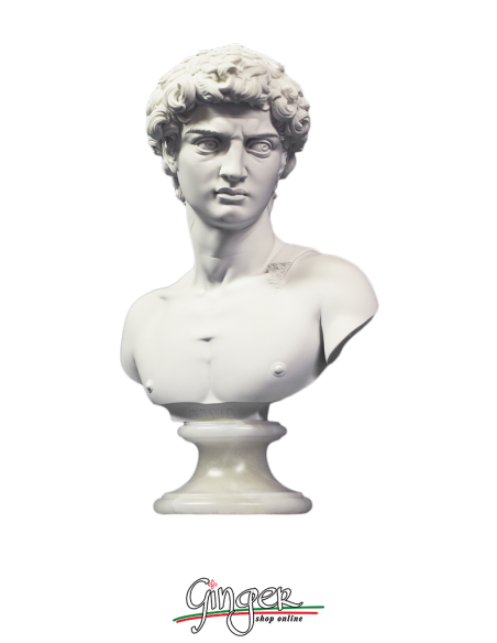 David by Michelangelo - bust with alabaster base - 10.6 in. (27 cm) or 12.6 in. (32 cm)
