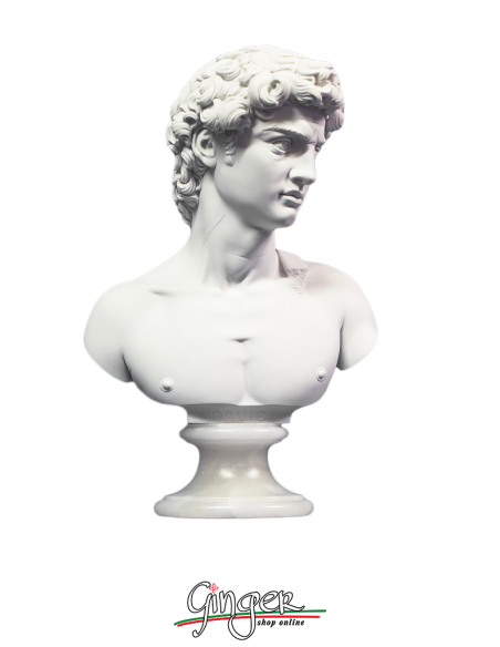 David by Michelangelo - bust with alabaster base - 10.6 in. (27 cm) or 12.6 in. (32 cm)