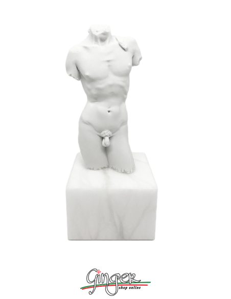 Thorax of Michelangelo's David with alabaster base