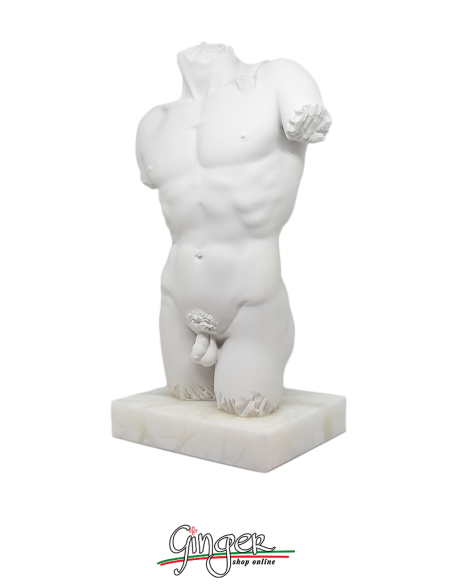 David by Michelangelo - Torso with alabaster base