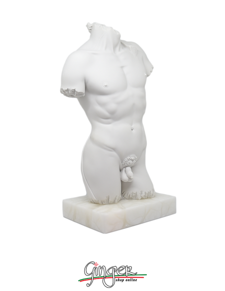 David by Michelangelo - Torso with alabaster base