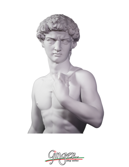 David by Michelangelo - 60 cm