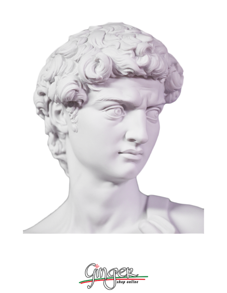 David by Michelangelo - 60 cm