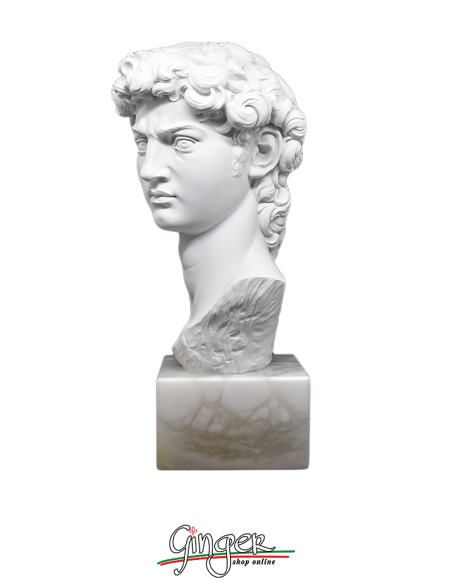 Michelangelo' David  - 11.8 in. - head with alabaster base