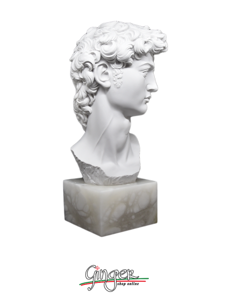 Michelangelo' David  - 11.8 in. - head with alabaster base