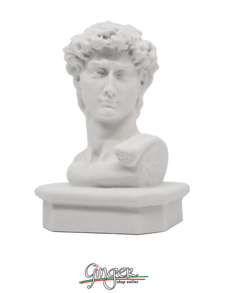 David by Michelangelo - 15 cm