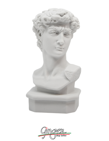 David by Michelangelo - 15 cm