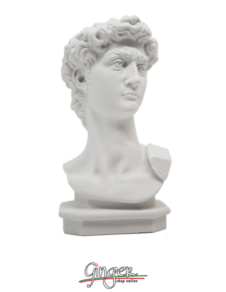 David by Michelangelo - 15 cm