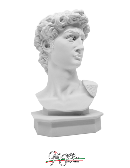 David by Michelangelo - 15 cm