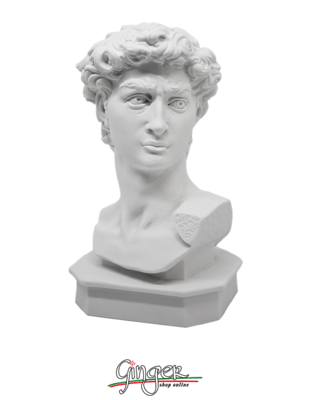 David by Michelangelo - 15 cm