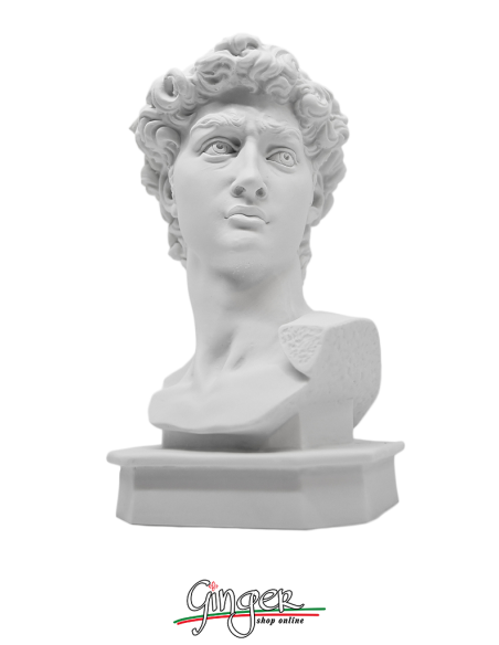 David by Michelangelo - 15 cm