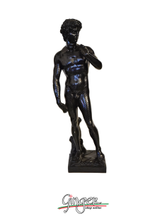 UNIQUE DESIGN - David by Michelangelo - 15,7 in (40 cm) - "carbon fiber" effect