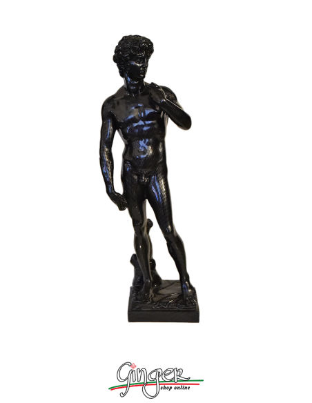 UNIQUE DESIGN - David by Michelangelo - 15,7 in (40 cm) - "carbon fiber" effect