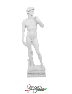 David di Michelangelo Patinato 30 cm Ginger statue made in Italy