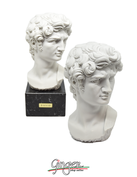 David by Michelangelo
