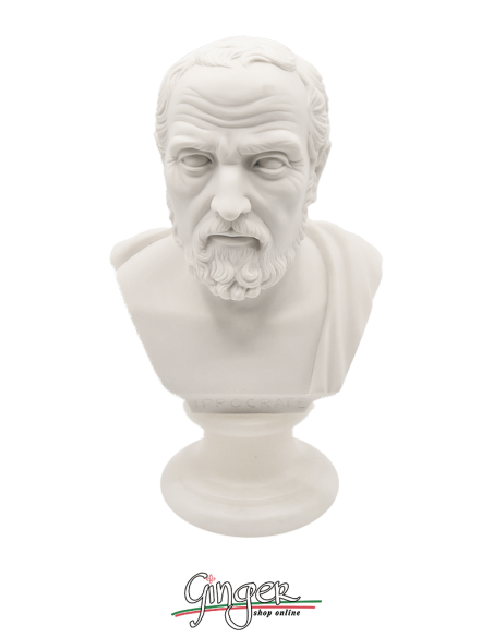 Hippocrates - 6.3 in. (16 cm)