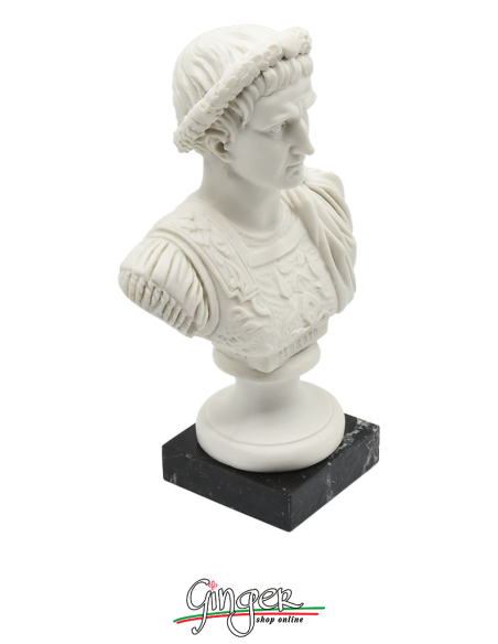 Antica Roma - Tiberio - busto 16 cm