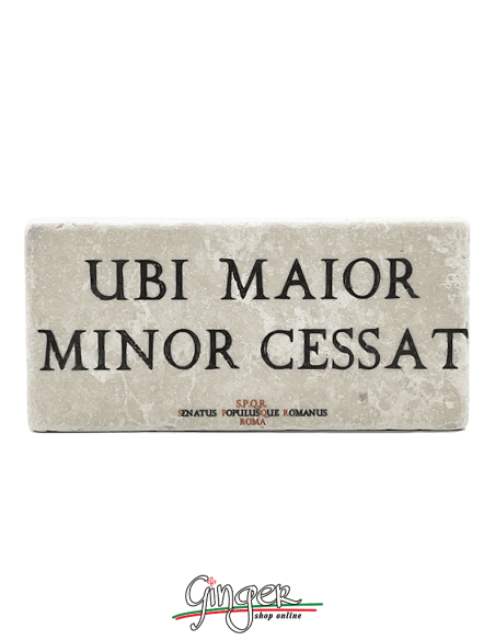 Magnet in real raw Italian marble - Carpe Diem (Seize the day)