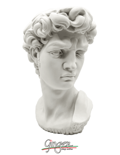 David by Michelangelo - 11,41 in