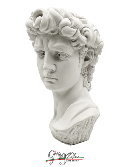 David by Michelangelo - 11,41 in