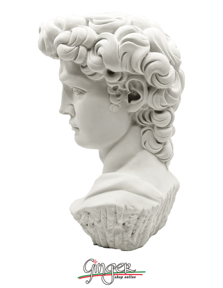 David by Michelangelo - 11,41 in