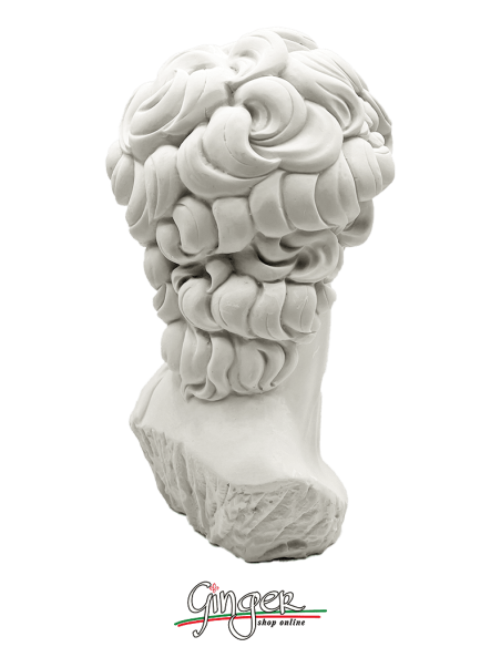 David by Michelangelo - 11,41 in