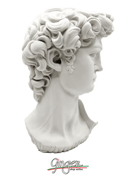 David by Michelangelo - 11,41 in