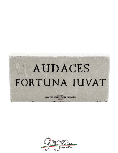 "New" - Magnet in real raw Italian marble - Audaces fortuna iuvat (Fortune favours the brave)