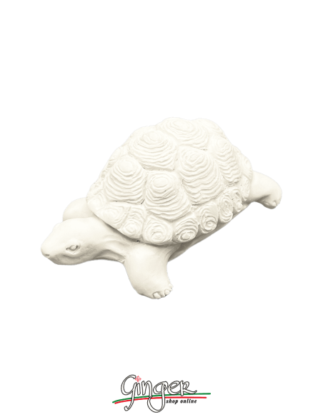 Lucky charm: the Turtle