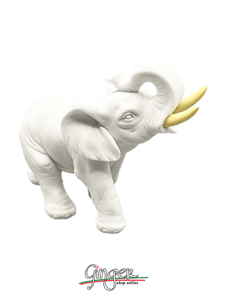 Lucky charm: the Elephant