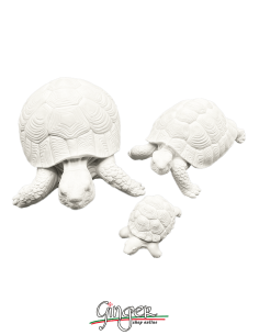 Lucky charm: the Turtle