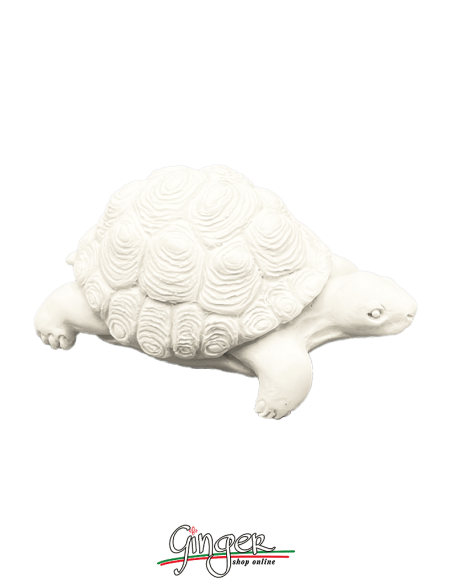Lucky charm: the Turtle