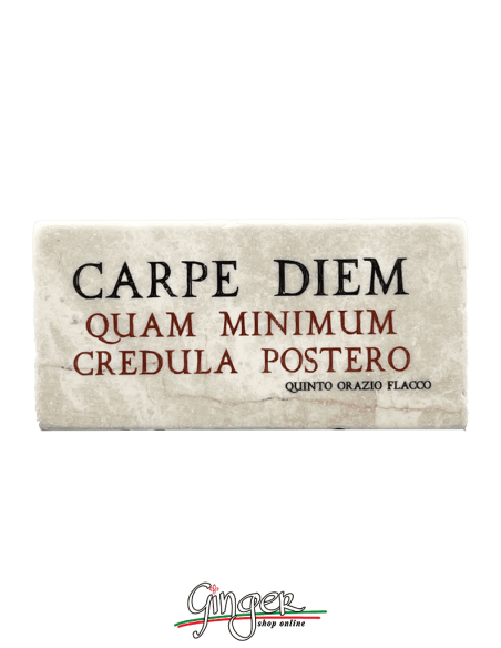 Magnet in real raw Italian marble - Carpe Diem (Seize the day)