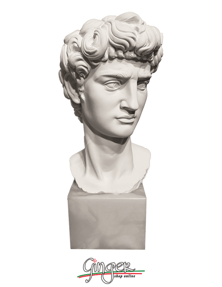 David by Michelangelo - Head with alabaster base