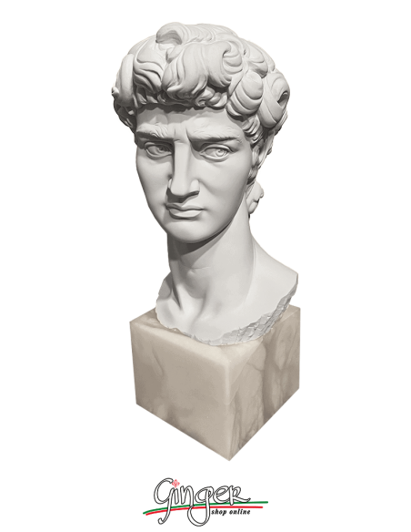 David by Michelangelo - Head with alabaster base