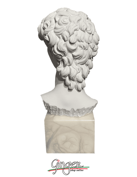 David by Michelangelo - Head with alabaster base