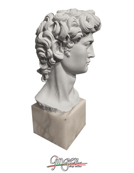 David by Michelangelo - Head with alabaster base